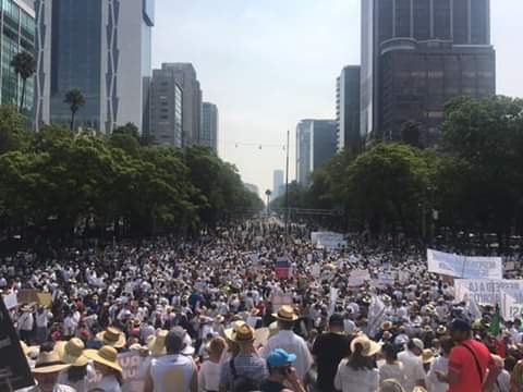 qtf's tweet photo. Con protestas en playeras ...
Con protestas verbales ...
Con unión y civismo...
#AMLOnoPuedeConMéxico
FernandaF https://t.co/LPthrr8Yks