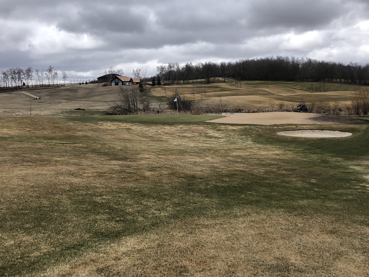 TKonsorada's tweet photo. Anseeuw Bros putting the final touches on # 5 green https://t.co/TOs1CKq7SU