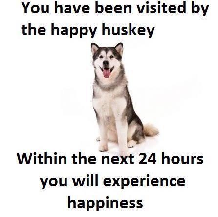 WholesomeMeme's tweet image. The happy "#husky"