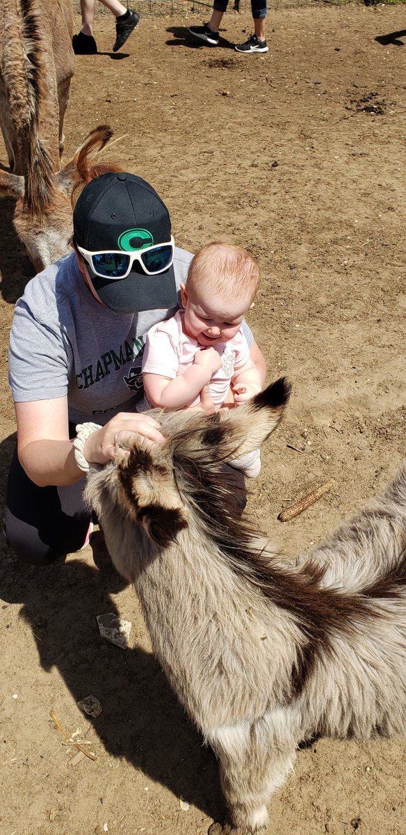 coachwebbb's tweet photo. We had fun petting all the baby animals. Gotta enjoy the family Sunday while he have them. https://t.co/oE4K9G3MWa