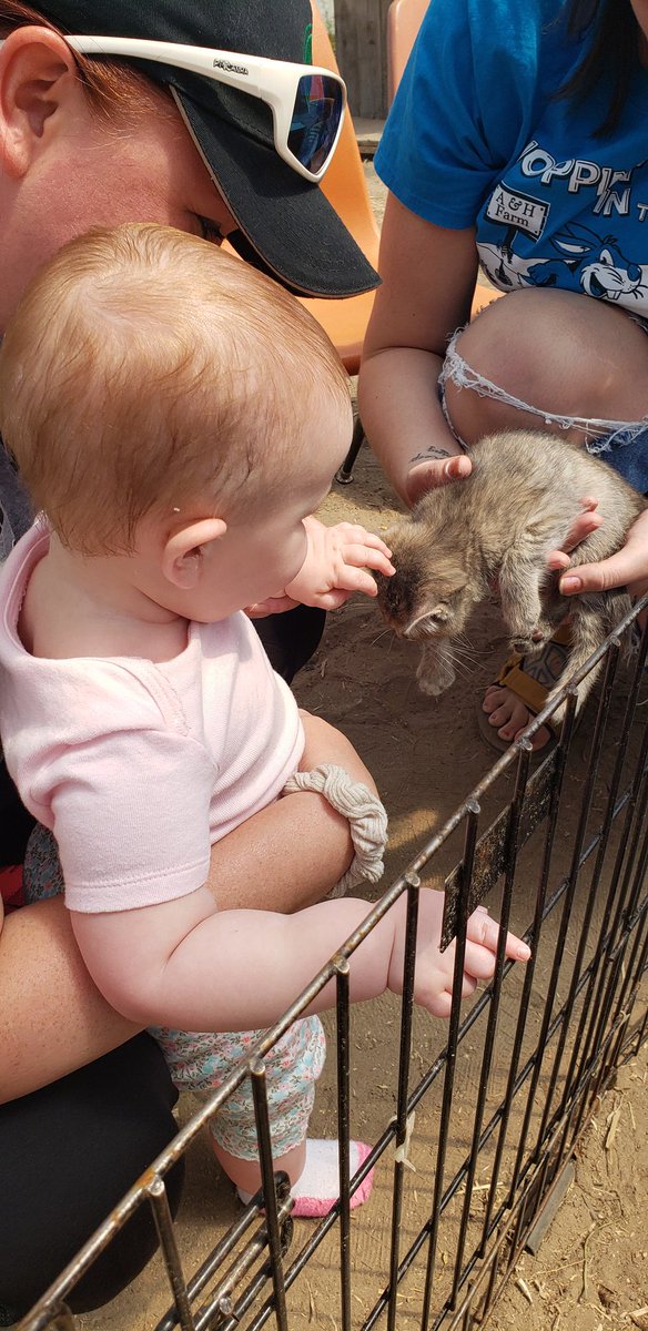 coachwebbb's tweet photo. We had fun petting all the baby animals. Gotta enjoy the family Sunday while he have them. https://t.co/oE4K9G3MWa