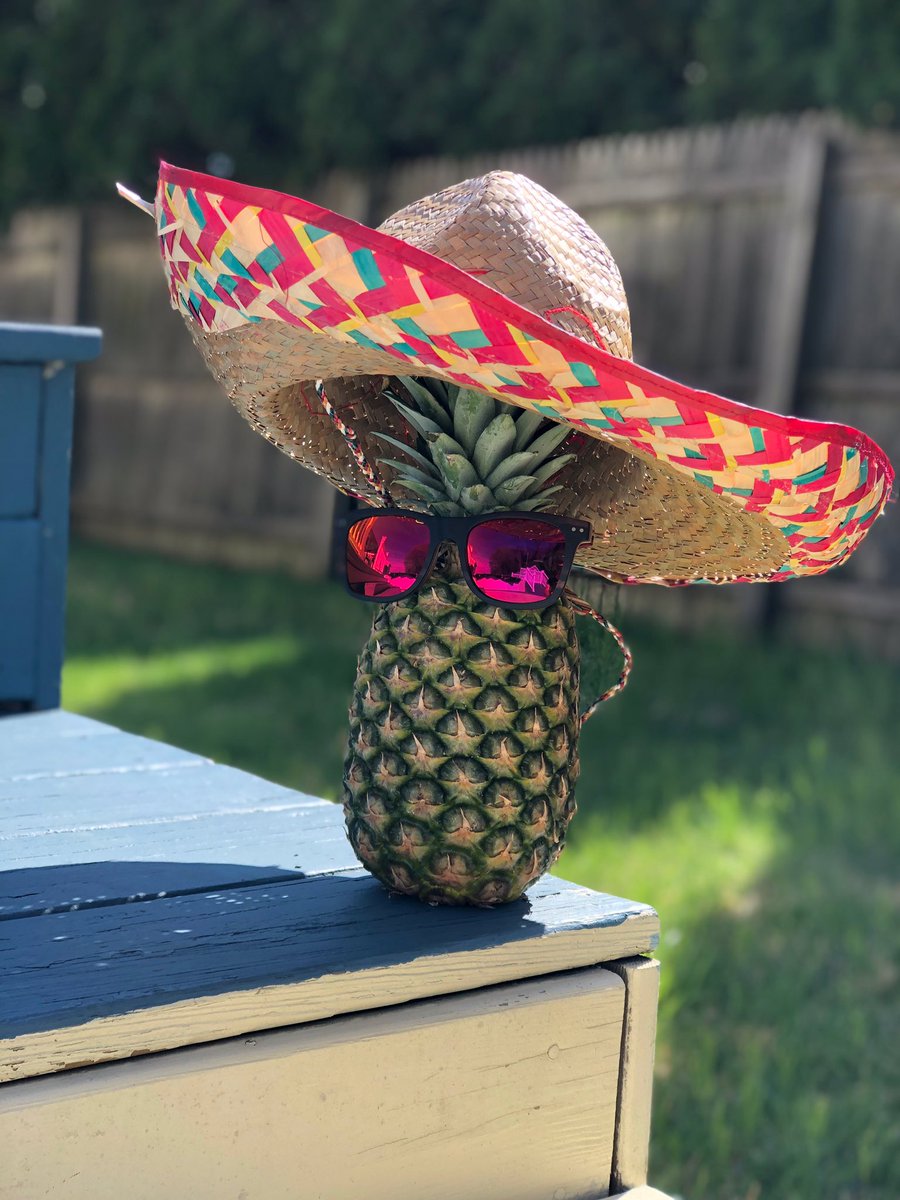 Cinco de pineapple 🍍 🎉🍹
•
•
#GetHereStatt #stattfest #summer #summerfestival #summermusicfestival #musicfestival #summerfest #festival #longisland #longislandmusic #sublime #reggae #electrofunk #jam #edm #party #goodvibes #musictour #daydrink #CincoDeMayo #nymusicfestival