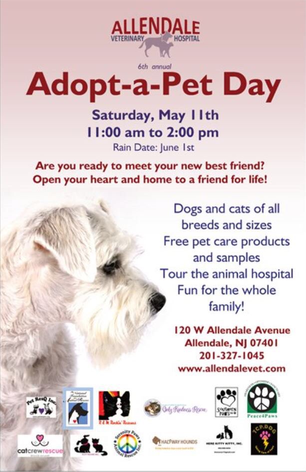 FOWARescue's tweet photo. Adopt a Pet Day May 11th, 11am-2pm https://t.co/kXRaJ5uIZJ