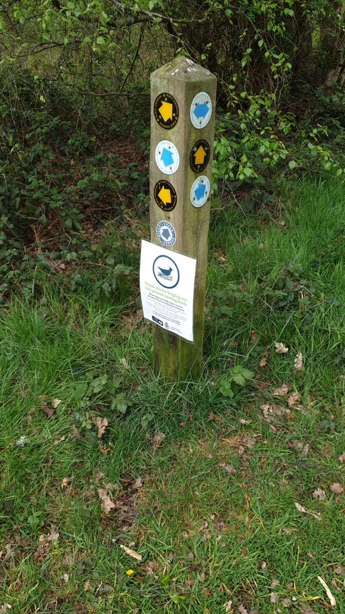 st_trips's tweet photo. Cold &amp; frosty start this morning but soon brightened. Day 2 saw many tired boys struggling; others did extremely well. Camp craft can be worked on (!) but left it tidy in the end! Looking forward to the Qualifying Exped. now the shock is out of the way. #Bronze #DofE Mr. Bridge https://t.co/CfvkqlQNMw
