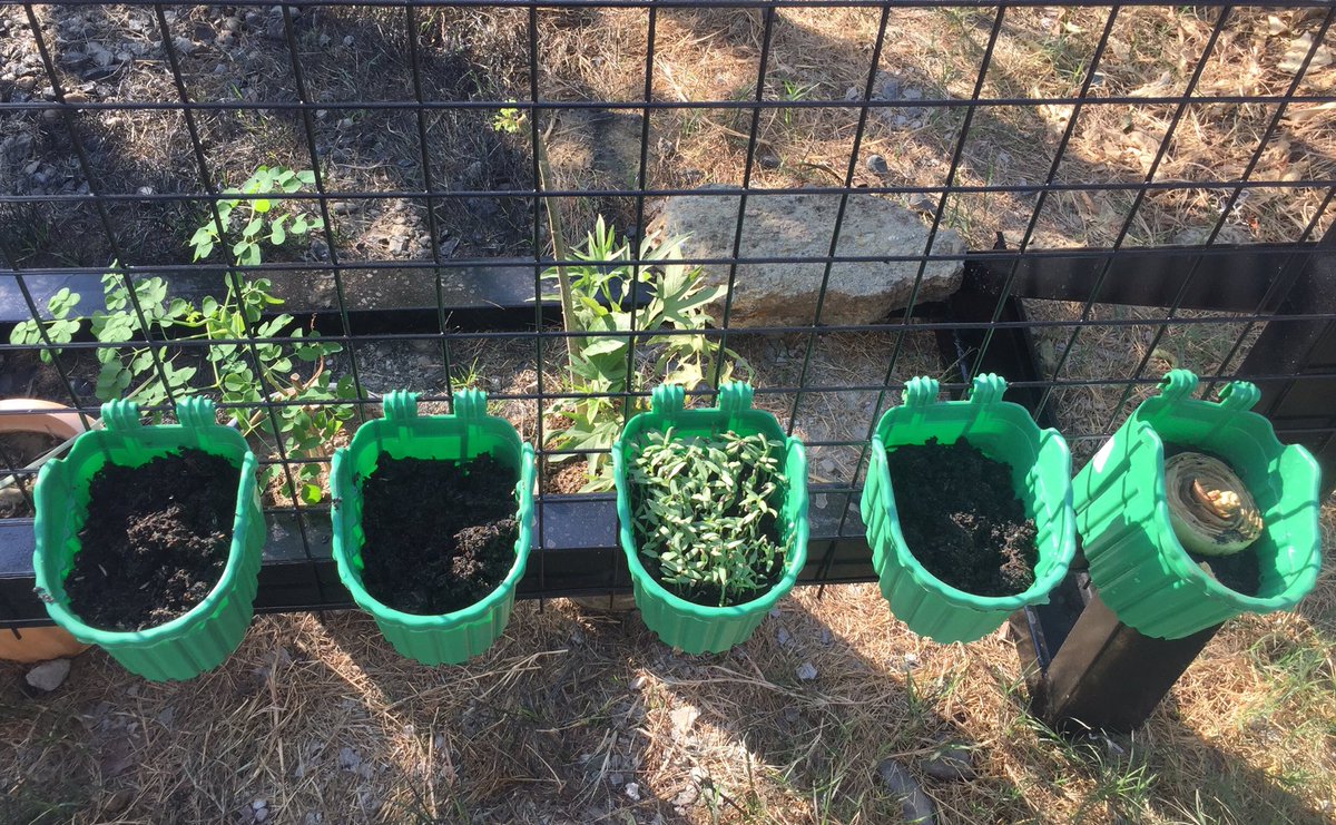 makayformayor's tweet photo. Good morning from Manay Makay Organic Farm! Charot.
We made use of the extra steel matting to build a vertical garden for herbs and other edible plants. π
#HowToWife https://t.co/SU8klMjOd0