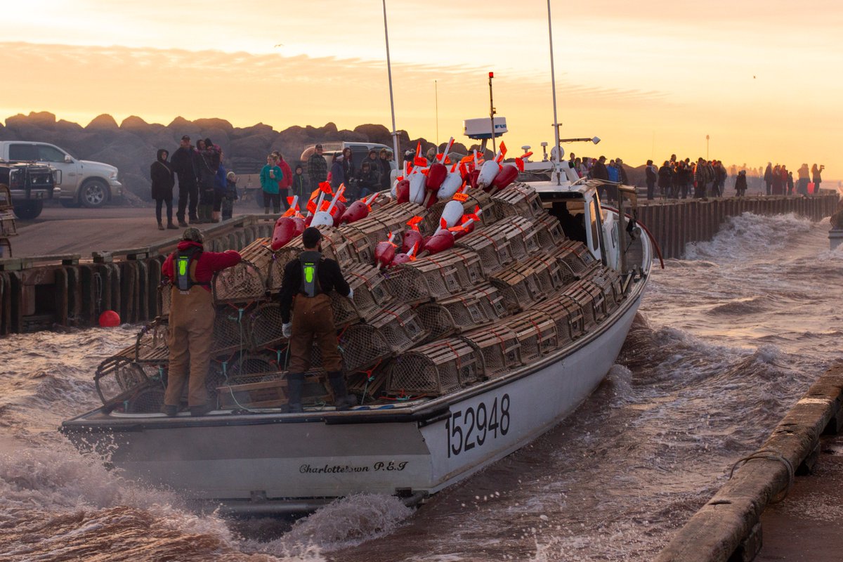 #settingday #pei #safetymatters #lobsterfishing <a href="/WCBPEI/">Workers Compensation Board of PEI</a> PFD's aboard Logan's Run out of Tignish Run
