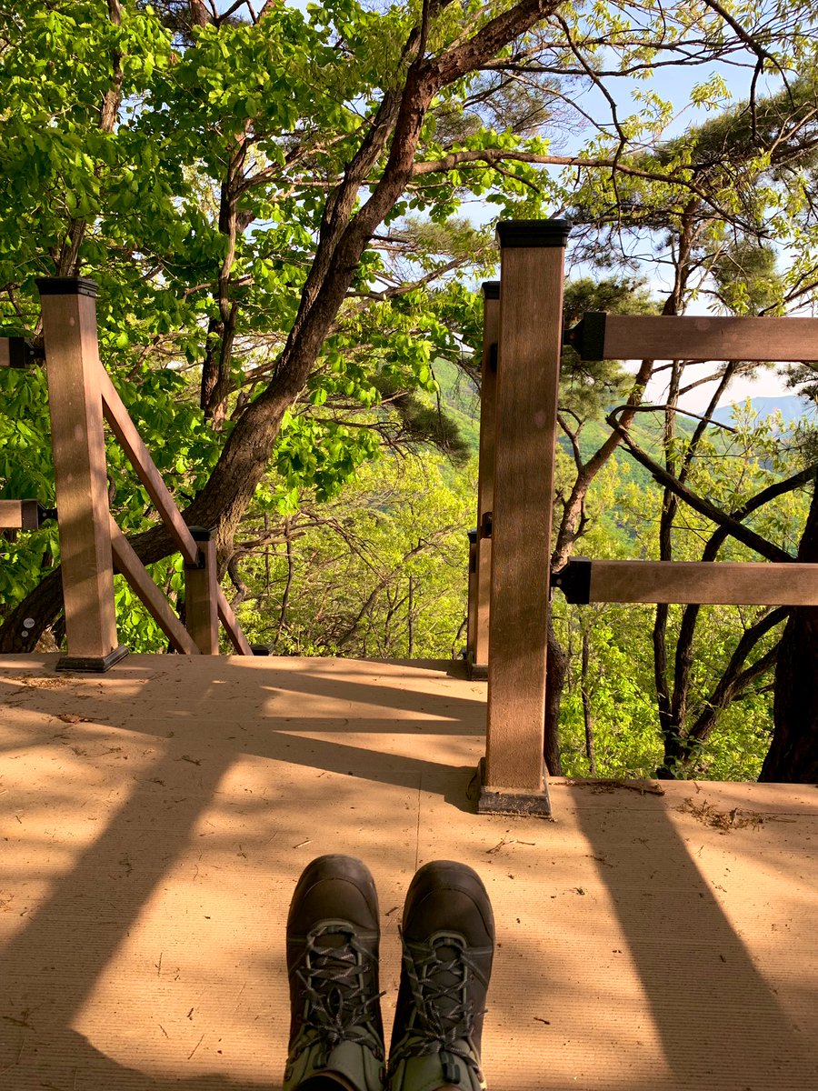 등산을 해보고싶은데 본격적인 비싼 등산화는 좀 부담되는 저같은 사람을 위해 데카트론.의 보급형 등산화가 있음다. 5만원대에 구매했는데  발목까지 감싸줘서 새신발 신으면 뒷굼치 피철철인 저같은 사람도 너무 편안하게 신고 청계산 오르내렸어요 ㅠ 아마 운동화였으면