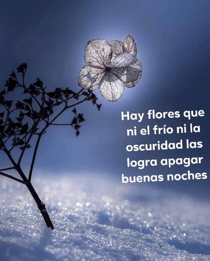 Cris Morales Twitterissa Hola A Tod S Linda Tarde Noche Dominguera Https T Co Qvnpdp6nds