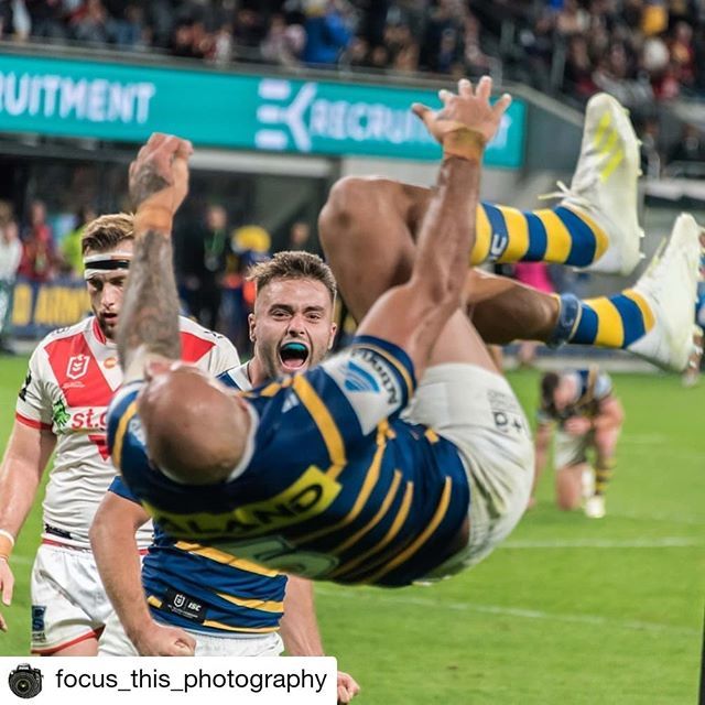 The Swarm Bay tweet media