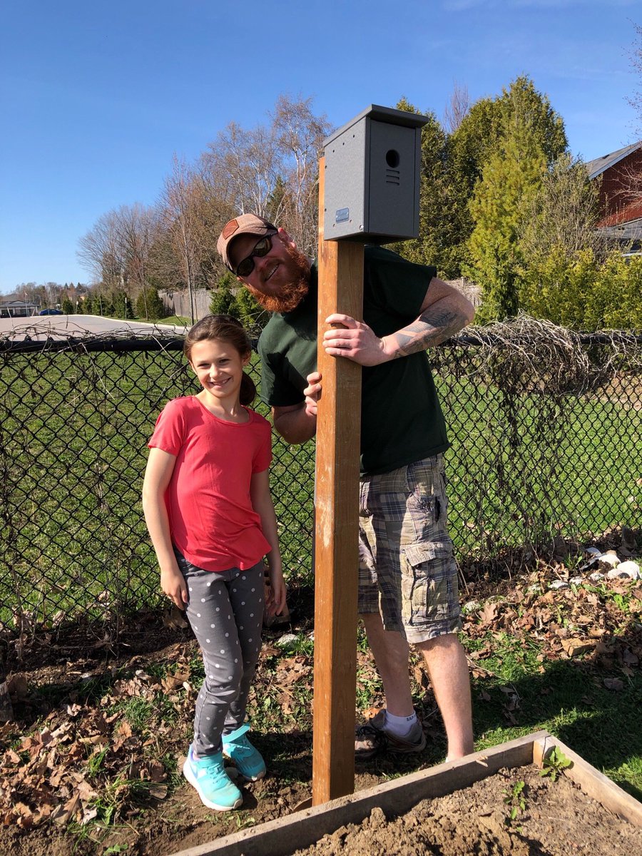 St_Peter_CES's tweet photo. Our amazing McLeod family - installing #ProjectNestBox, weeding, raking and preparing the Peace Garden for our #CEW2019 Prayer Service tomorrow #LivingasJoyfulDisciples @ALCDSB https://t.co/Gmh1cRk1HC