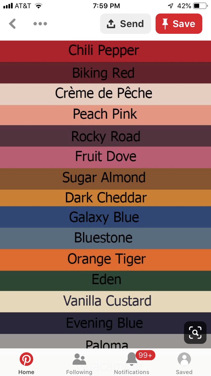 Tracey Scheffler tweet media