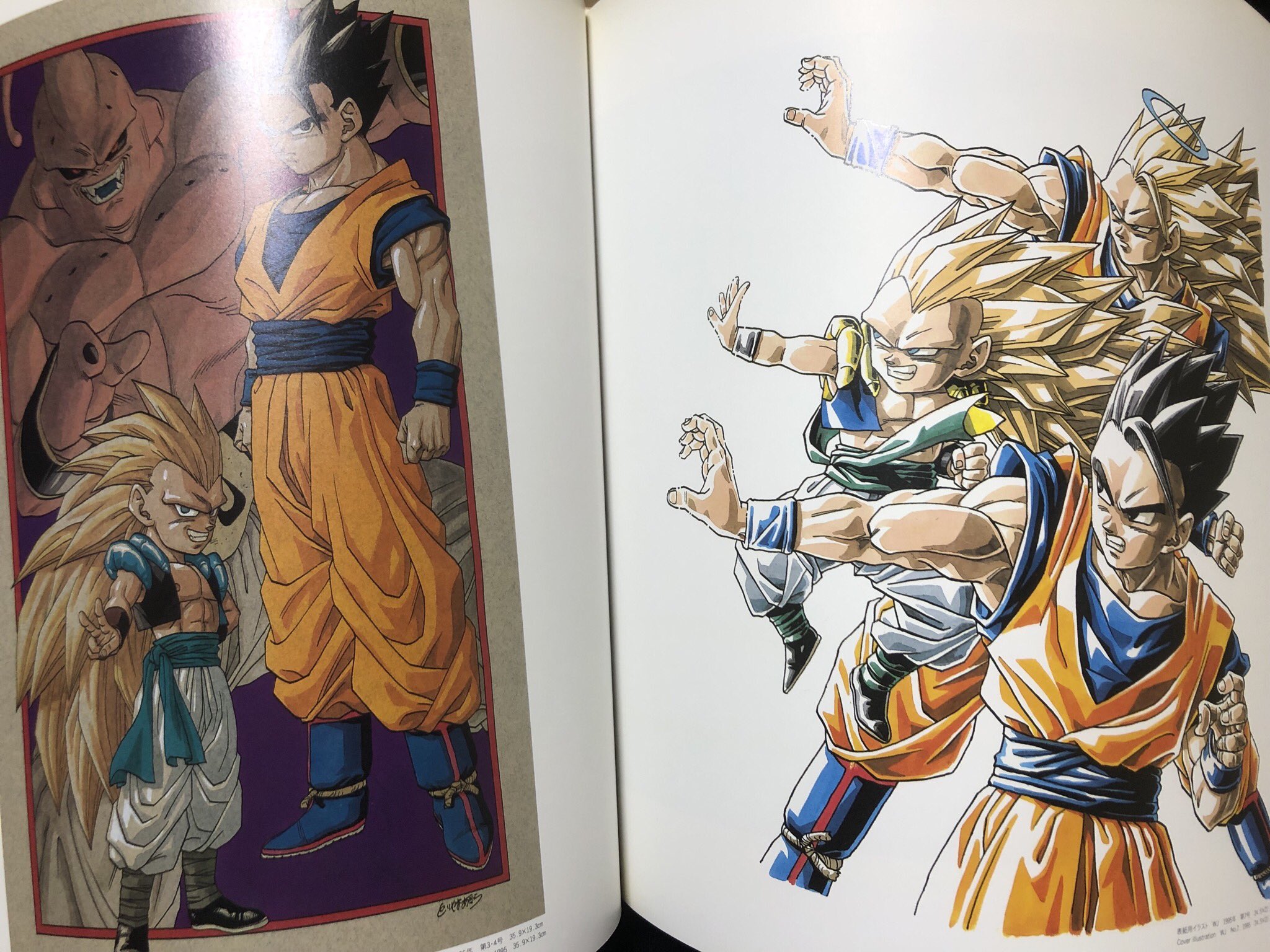 鳥山明の世界 画集 イラスト集 ドラゴンボール DRAGON BALL