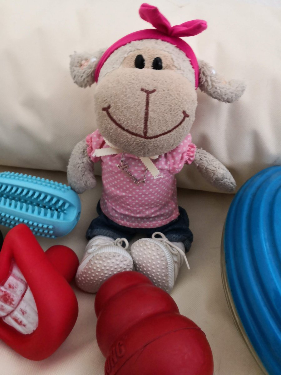 lumi_princess's tweet image. this doggy has a lot of strange things in his bed ...