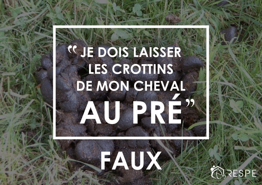 respe_network's tweet photo. Une bonne hygiène 👨🏼‍🌾 générale : élément clé de la #santé de mon #cheval 🐴 
#Crottins 💩#pré #patures 🌾🌾 https://t.co/gqbKuRGZni