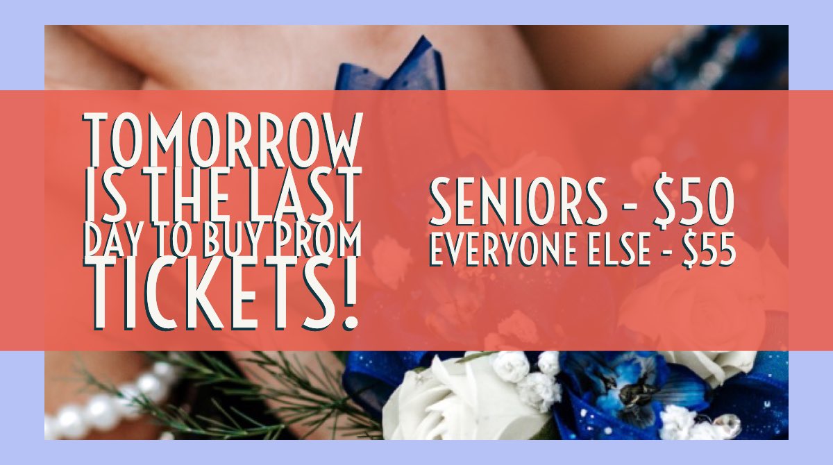 Osbourn SCA 🦅 tweet media