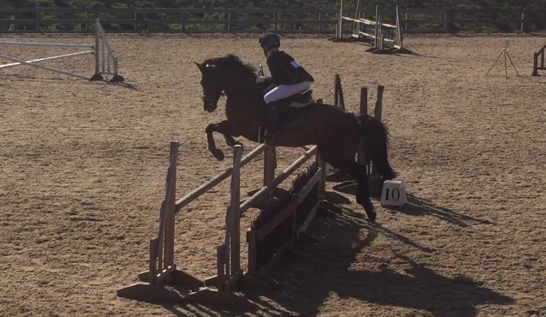 AwShowjumper's tweet photo. Tried our first 90 class today. Absolutely over the moon to have been placed third. Feels like a huge achievement for our first attempt 😃 https://t.co/kJNLQFEQw3