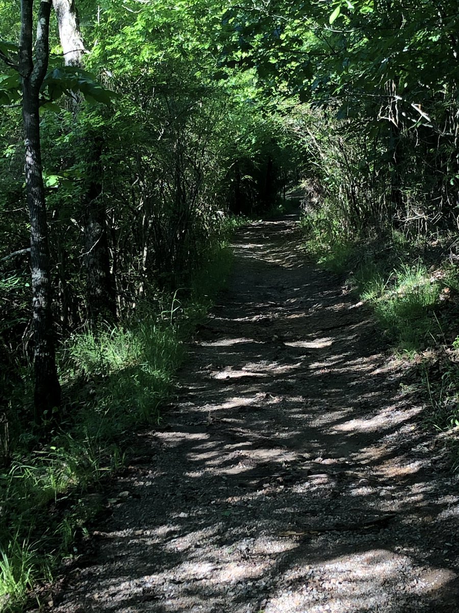 10 miles of trails for the #OrdinaryMarathon