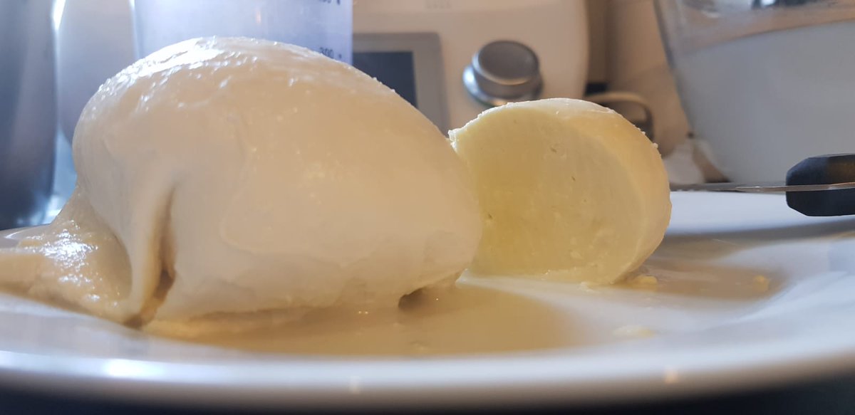 sararonca77's tweet photo. First try at homemade mozzarella #cheesemonkey https://t.co/hAUaDhOVDd