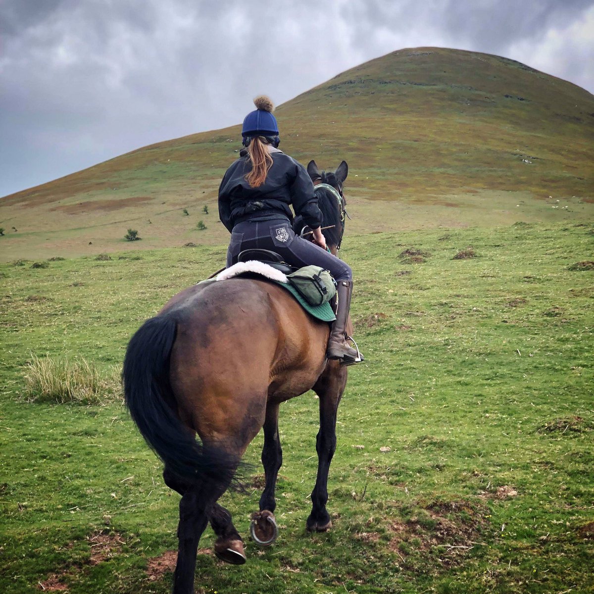 #Maesmynach Brittania, our new horse, out in front with guide Rosie today. She’s settled in like a dream. #thedifferenceisourhorses #horseridingholidays #rideinwales #horseriding