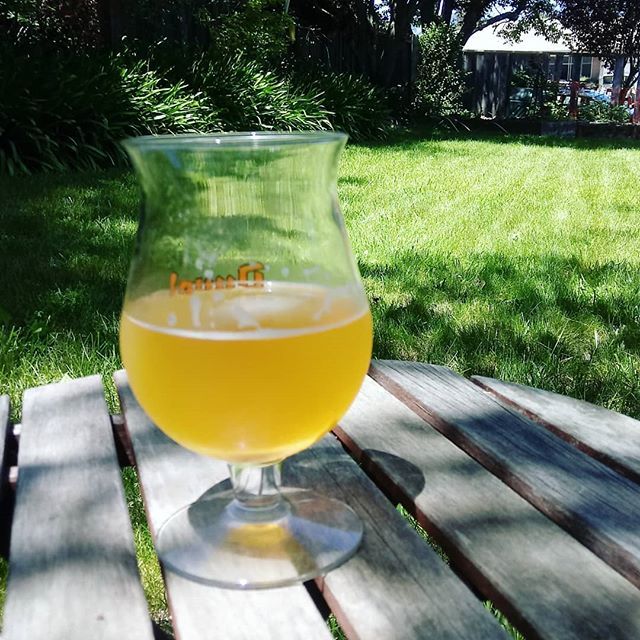 mojosarmy's tweet image. Break time with #belgianstyle ale. #yardwork #lawn bit.ly/2PNOB67