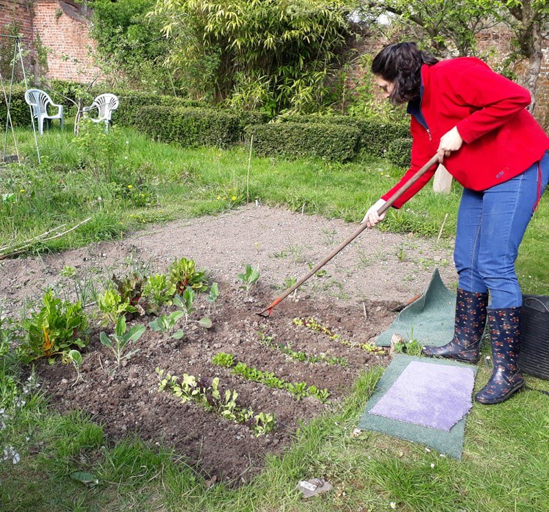 FSCJuniperHall's tweet photo. It's the last day of #NationalGardeningweek! In our walled garden we have staff #allotments. We cannot wait to start harvesting and eating soon!
Everyone has space to grow something delicious to eat, even if it's only a pot of herbs on the windowsill. #ediblebritain #growyourown https://t.co/fC1lwCmgwu