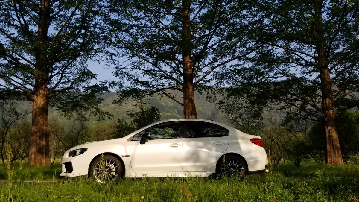 TLevorg's tweet photo. 初メタセコイヤ並木。 https://t.co/4IzDZTQHQk