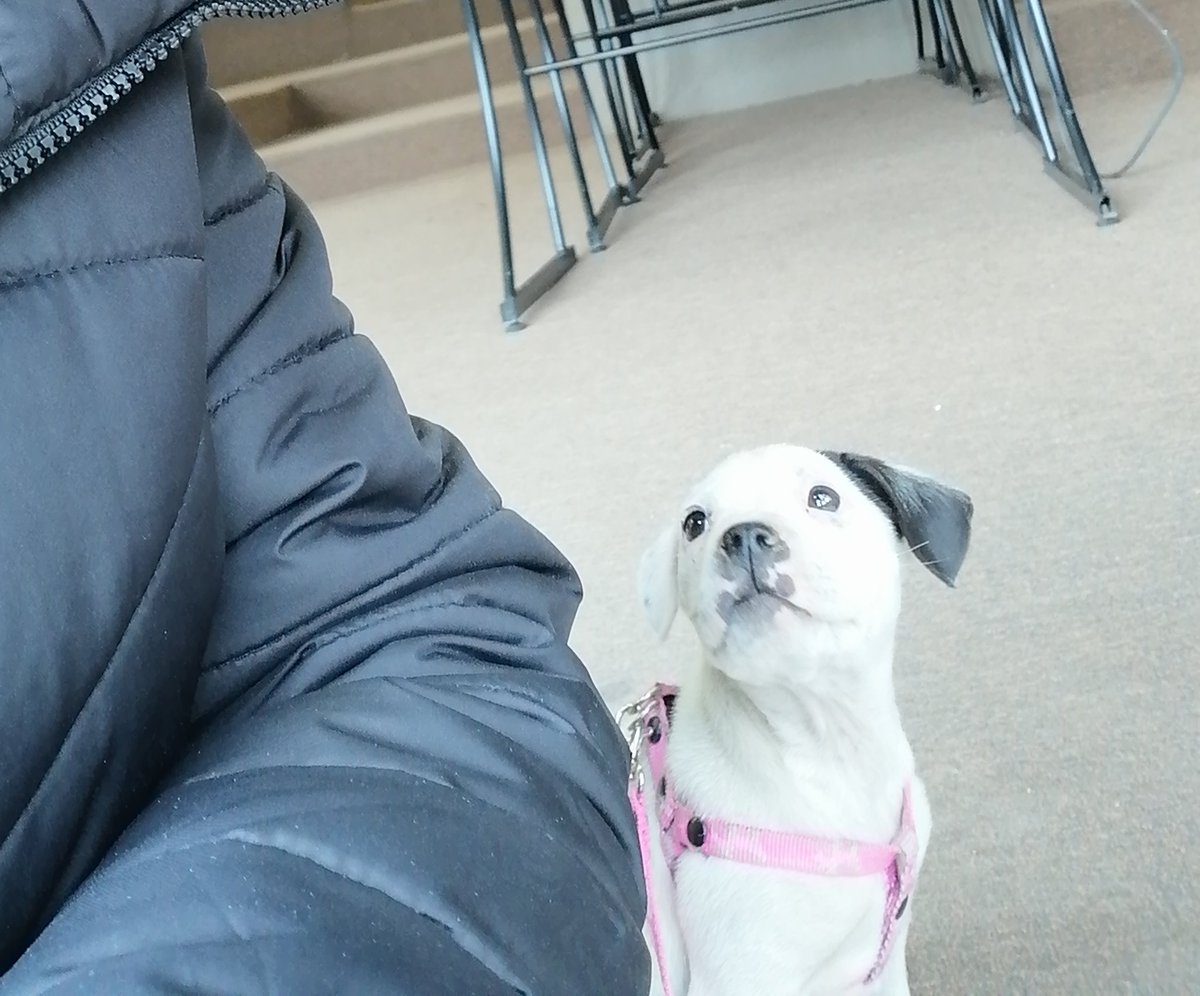 La Fernández tweet media