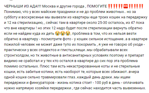 helpanimall's tweet photo. 🆘❗️⚠️⬇️⬇️⬇️#Срочно #Помощь #Россия #Москва #котята #Происшествия #помогите #срочно #помощьживотным #животные #помощь #кот #коты #кошки #cat #sos #help https://t.co/eJJ6dkaw7u