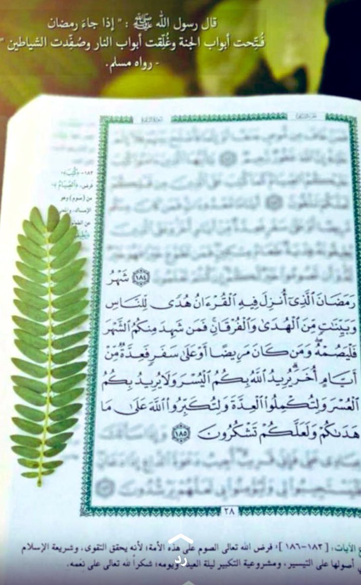 هيثم (@asast12) on Twitter photo 