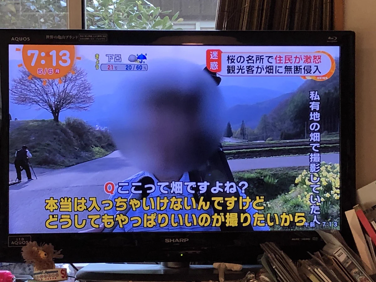 ルールやマナーを守れないなら、写真を撮らないほうがいい！！