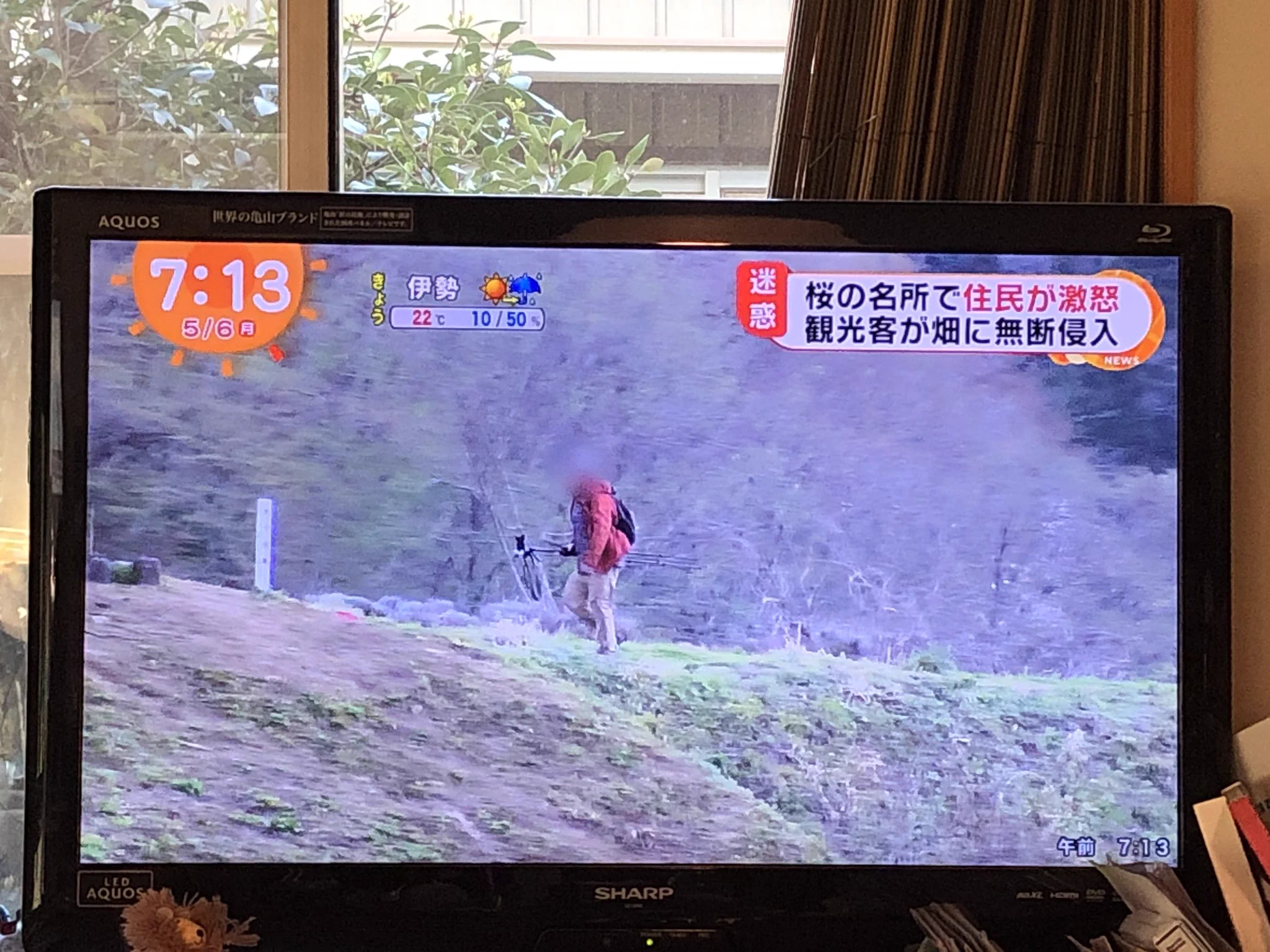 ルールやマナーを守れないなら、写真を撮らないほうがいい！！