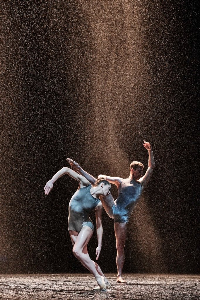 flocourthial's tweet photo. #LeónLightfootVanManen @operadeparis @palaisgarnier : 3 ballets où la grâce rencontre la poésie; tout est beauté, pureté, fluidité et incandescence de l’être en mouvement. Un spectacle merveilleux à savourer absolument avant le 23 mai 2019. Superbe !🥰 https://t.co/QDrflueSJq