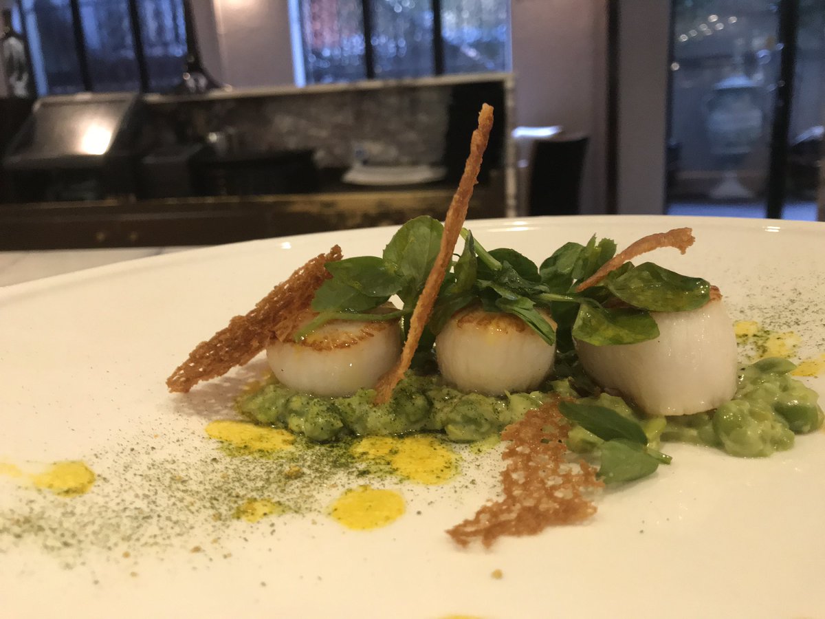 espositofood's tweet photo. Seared Canadian scallops with pea crush, onion tuille and saffron reduction. Chef Esposito always has Canadian scallops featured on our menu @ Cecconis. They’re the largest sustainable scallop fishery in the world. https://t.co/ovcQiXtJAD