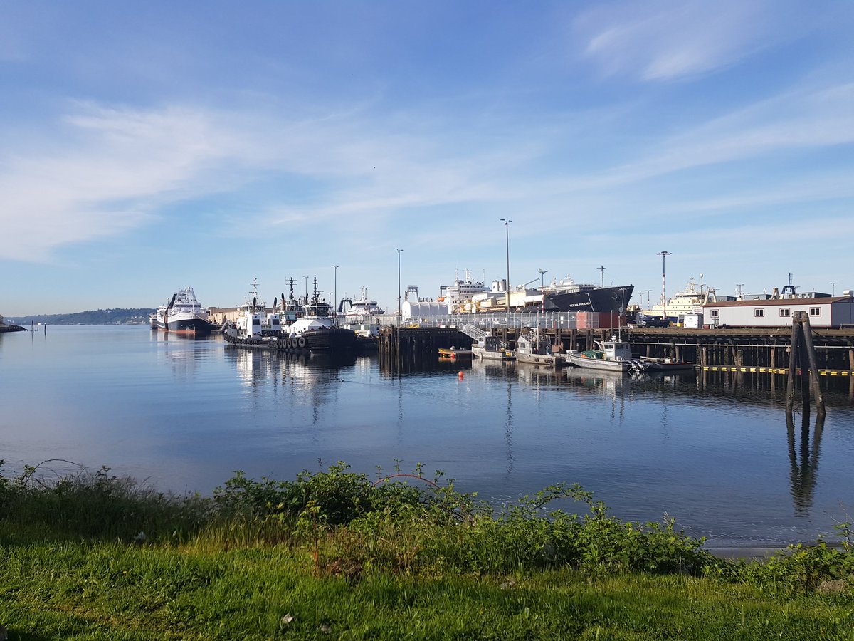 IvoHuizinga's tweet photo. Running in America... #seattle #running #runningteambremakker #bremakker #elliotbaytrail #greatpace #msbuild https://t.co/Hlu7KxQdxE