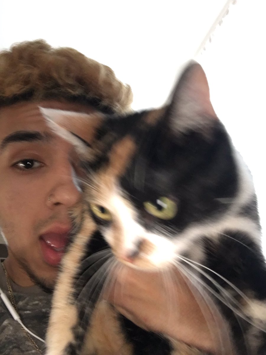 ALXTENDOWN's tweet photo. i don’t fuck with cats ... only if it’s .. https://t.co/vV0hdNzjM2