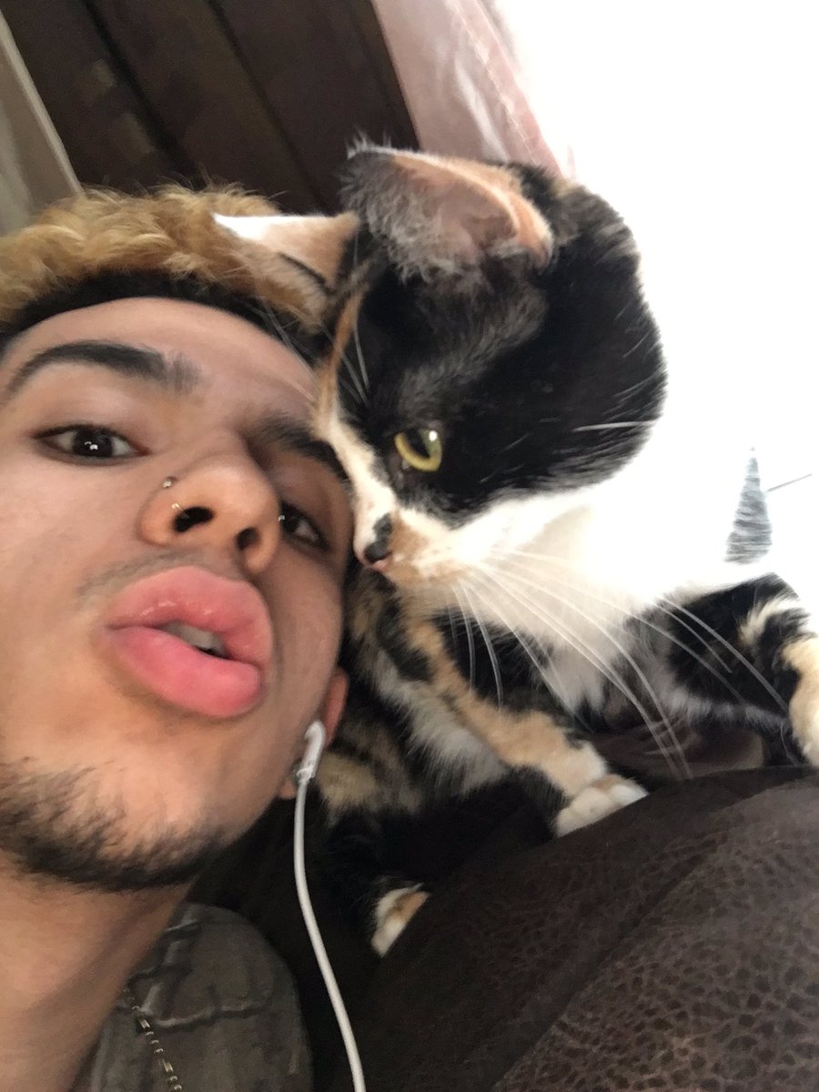 ALXTENDOWN's tweet photo. i don’t fuck with cats ... only if it’s .. https://t.co/vV0hdNzjM2