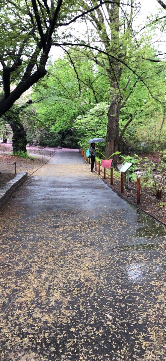 PopeDave8's tweet image. Rainy, but very fun day for some AR photos w/ @amanda_abrams 😇 #PokemonGo #GOSnapShot #ARPlus