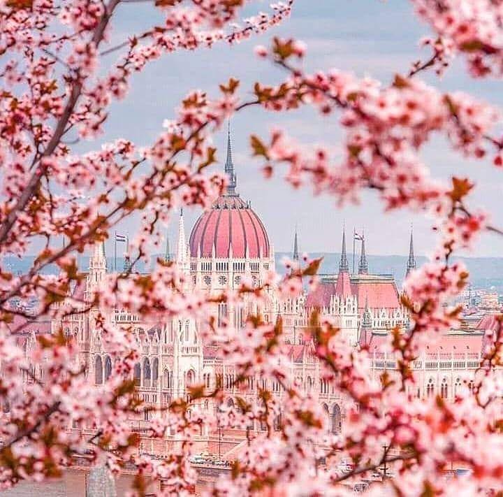 EscalaBudapest's tweet photo. #Budapest is soooo pretty in pink 💗
Follow our ▶️ #FraserBudapestTips 

#FraserBudapest #BudapestHotels 
#VisitBudapest #frasershospitality https://t.co/54IQUsTLOQ