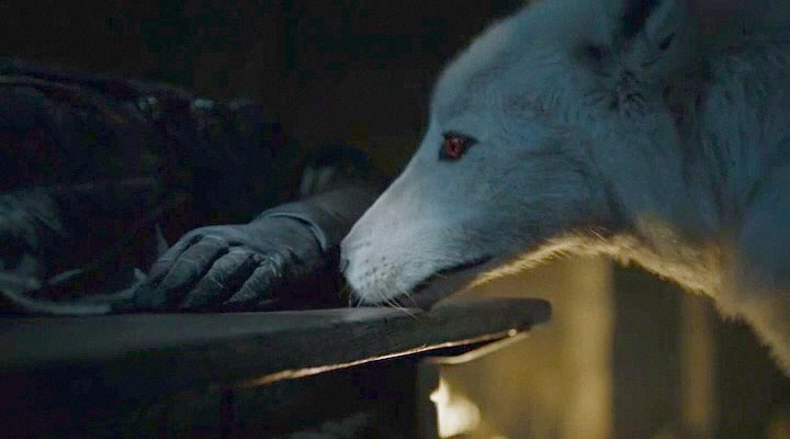rizzo_togt's tweet photo. Ghost siempre estuvo a tu lado, y ahora lo abandonas :( por un culo??? Por un pinche culo real 👸🏼. You know nothing Jon Snow #CrowsBeforeHoes #Ghost #GameOfThrones https://t.co/7dizi5bdpX