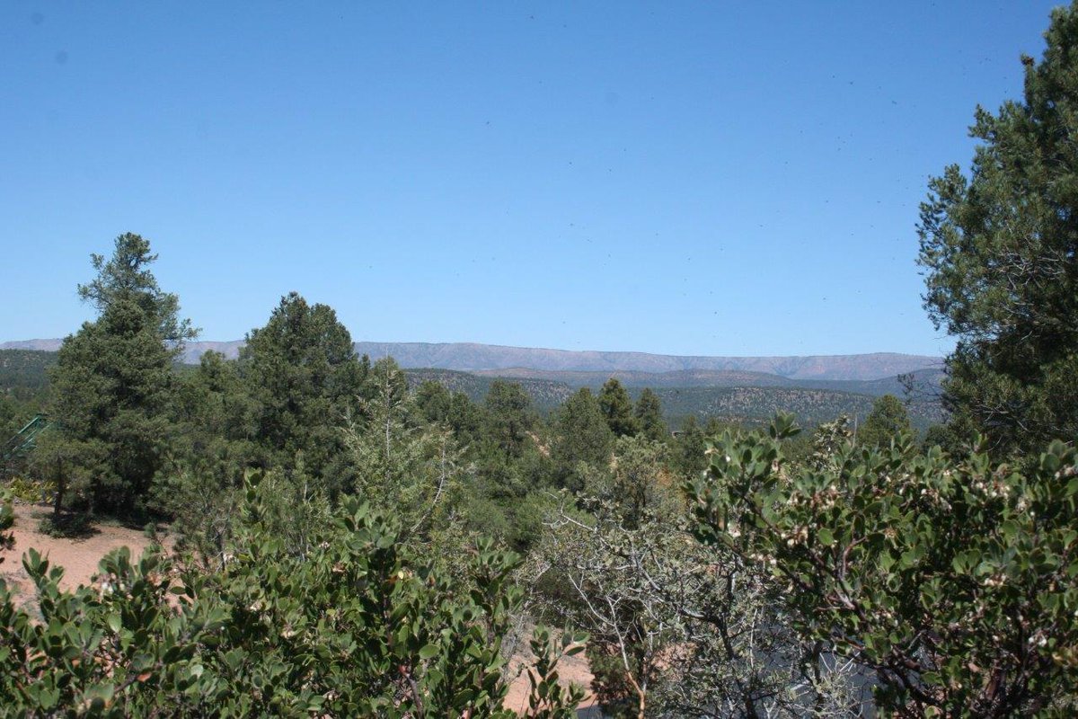 RimRealEstate's tweet photo. Now listed! One of the best lot values in Chaparral Pines. Featuring beautiful mountain views! It's an  easy building site perfect for YOU! Call Jennifer Kiley at 928-474-1222 to learn more about 2006 E Feather Plume Lane, Payson, AZ 85541. https://t.co/4rYLQKvYJI
