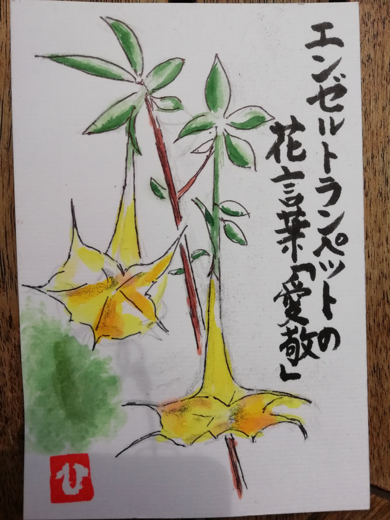 かめ 絵手紙 エンゼルトランペット エンゼルトランペットの花言葉は 愛敬 でした T Co Osctsv8vgo Twitter