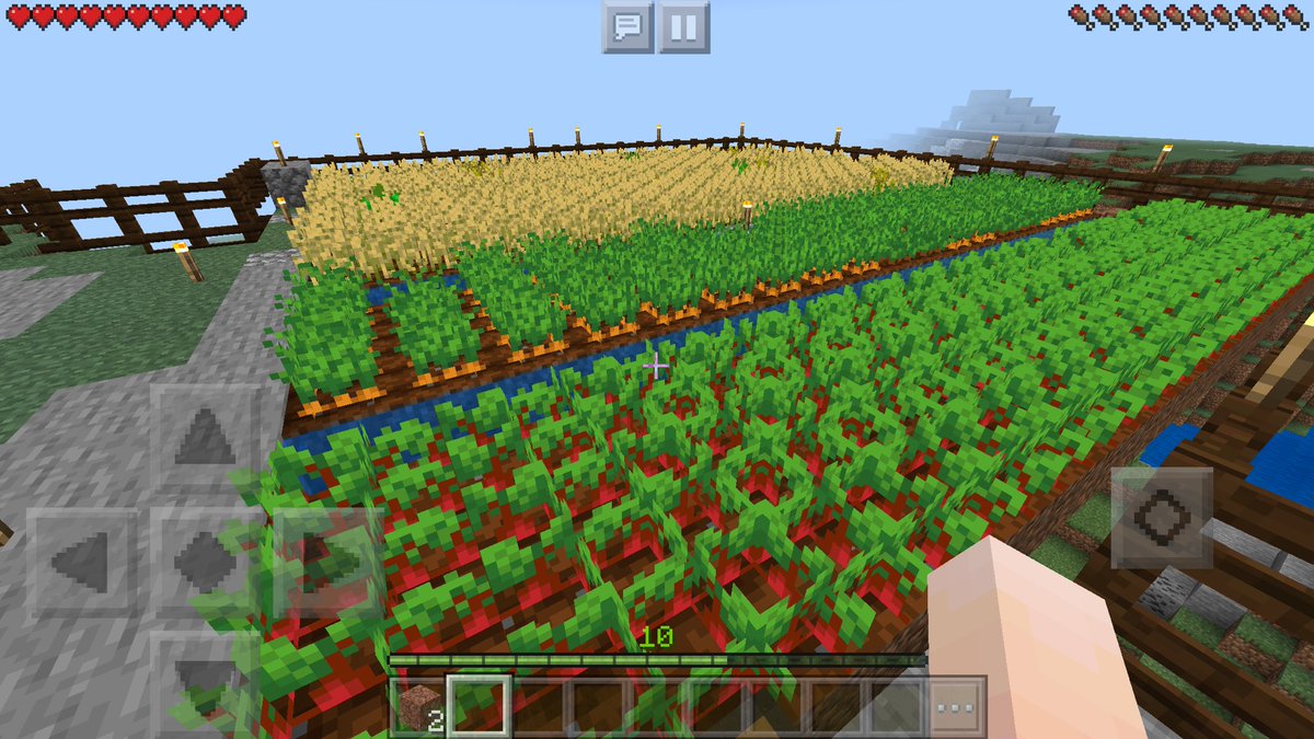 マインクラフター