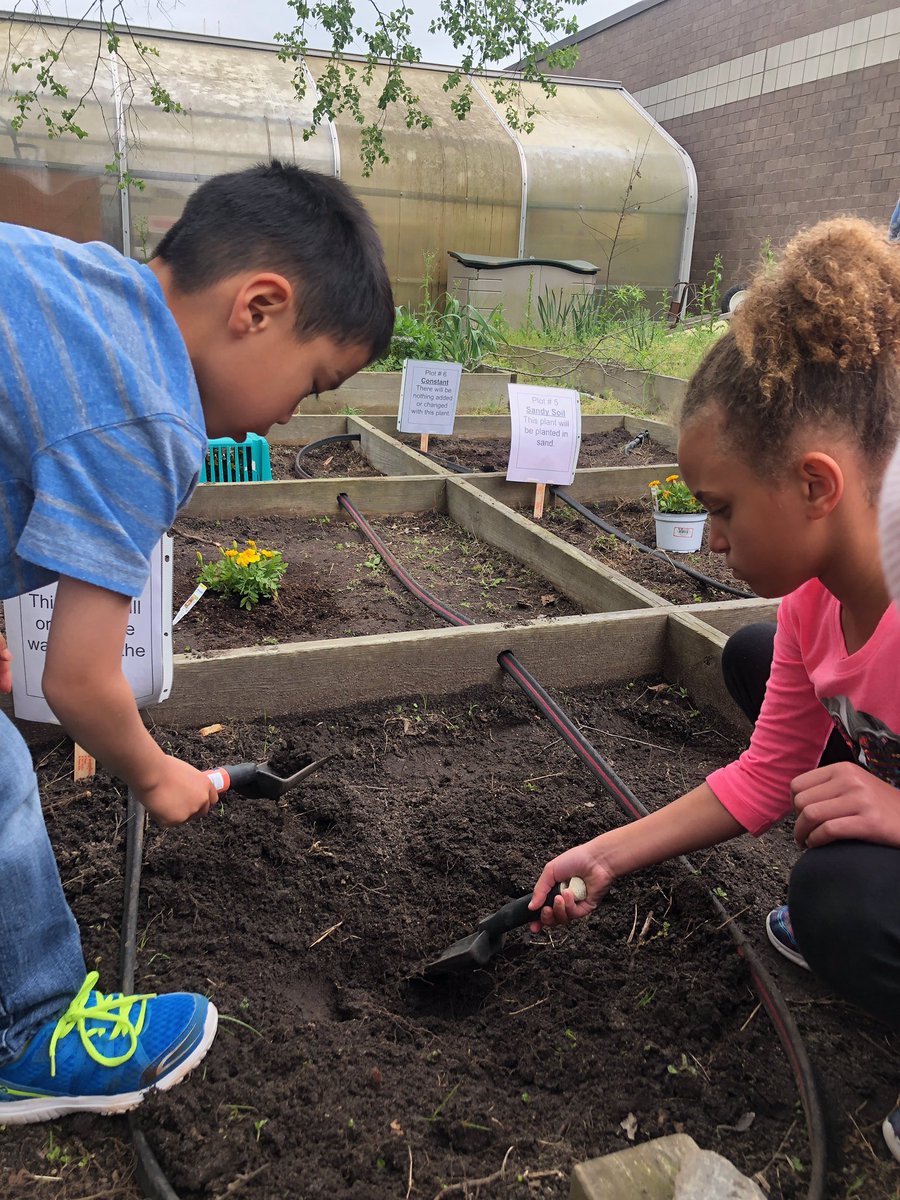 Sarah_Morris12's tweet photo. Our grade level started a project in our garden last week! We are introducing students to the #scienticmethod while learning about plants! #firstgrade #projectbasedlearning @RedMillES @RMESPrincipal https://t.co/3LExeOTB1G
