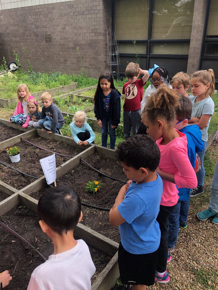 Sarah_Morris12's tweet photo. Our grade level started a project in our garden last week! We are introducing students to the #scienticmethod while learning about plants! #firstgrade #projectbasedlearning @RedMillES @RMESPrincipal https://t.co/3LExeOTB1G