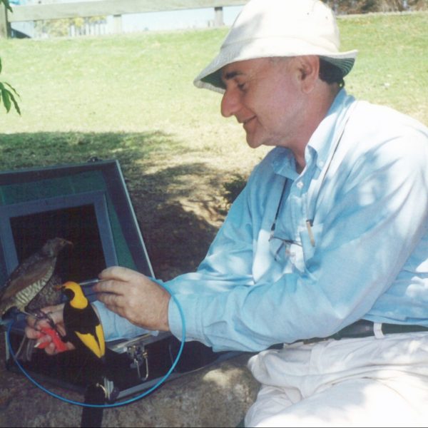 ISBE2020's tweet photo. The ISBE Executive has awarded the prestigious Hamilton Lecture to Prof John Endler (Deakin University) at #ISBE2020. Working on fish, birds and reptiles, John studies the interaction between sensory systems, signals, and the environment. @BehavEcol 

https://t.co/BSbvW9qJKo https://t.co/O6CEatsAZ9