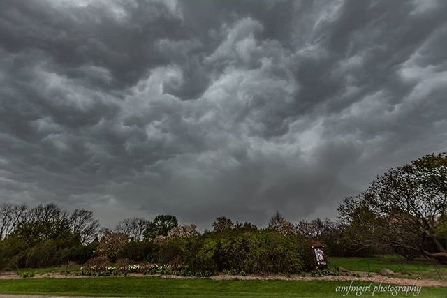 amfmgirlphoto's tweet photo. I was at the UW Arboretum when the storm hit. The clouds looked so amazingly awesome!
.
.
.
.
#storm #thunderstorm #uwarboretum
#conquer_wi #visitdanecounty #wccmag #excellent_america
#thewisconsinlife #midwestlife #naturalwisconsin #madisonmagazine #explorewisconsin #d… https://t.co/Umo5KQQeAb