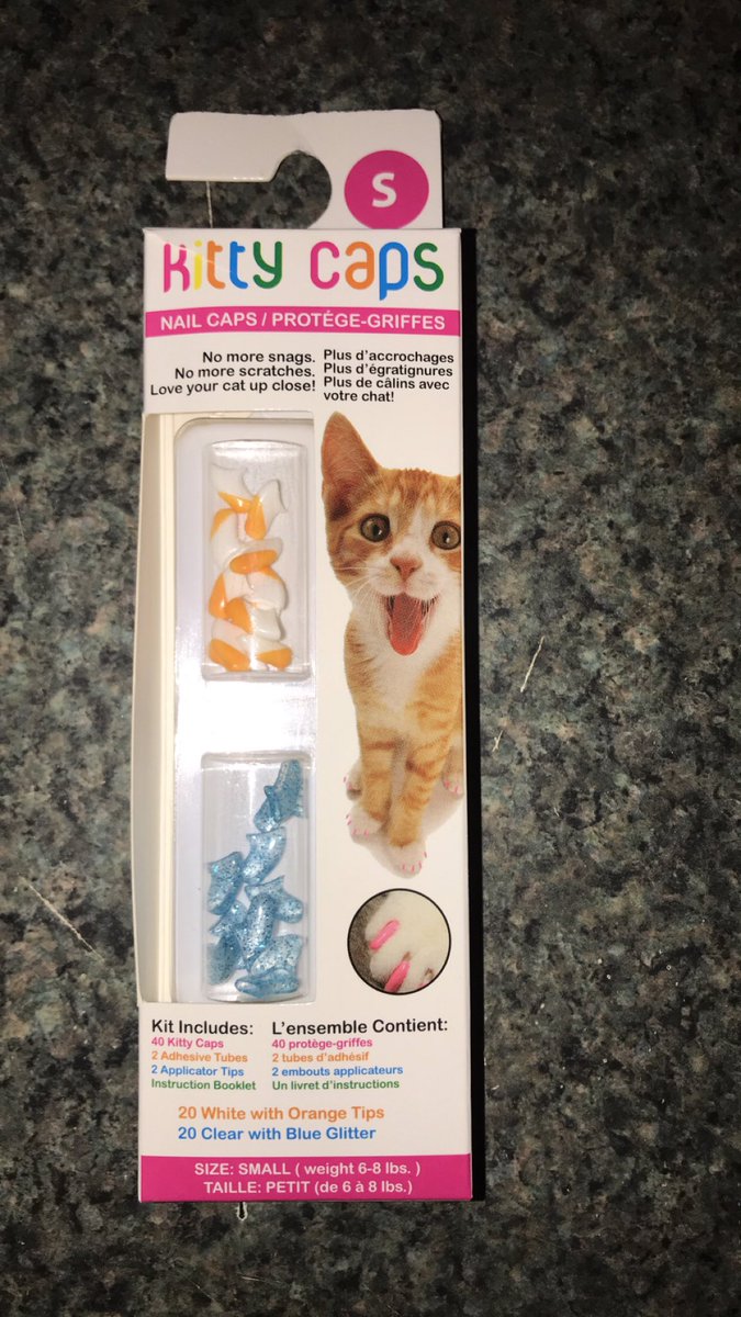 mckenna✨ tweet media