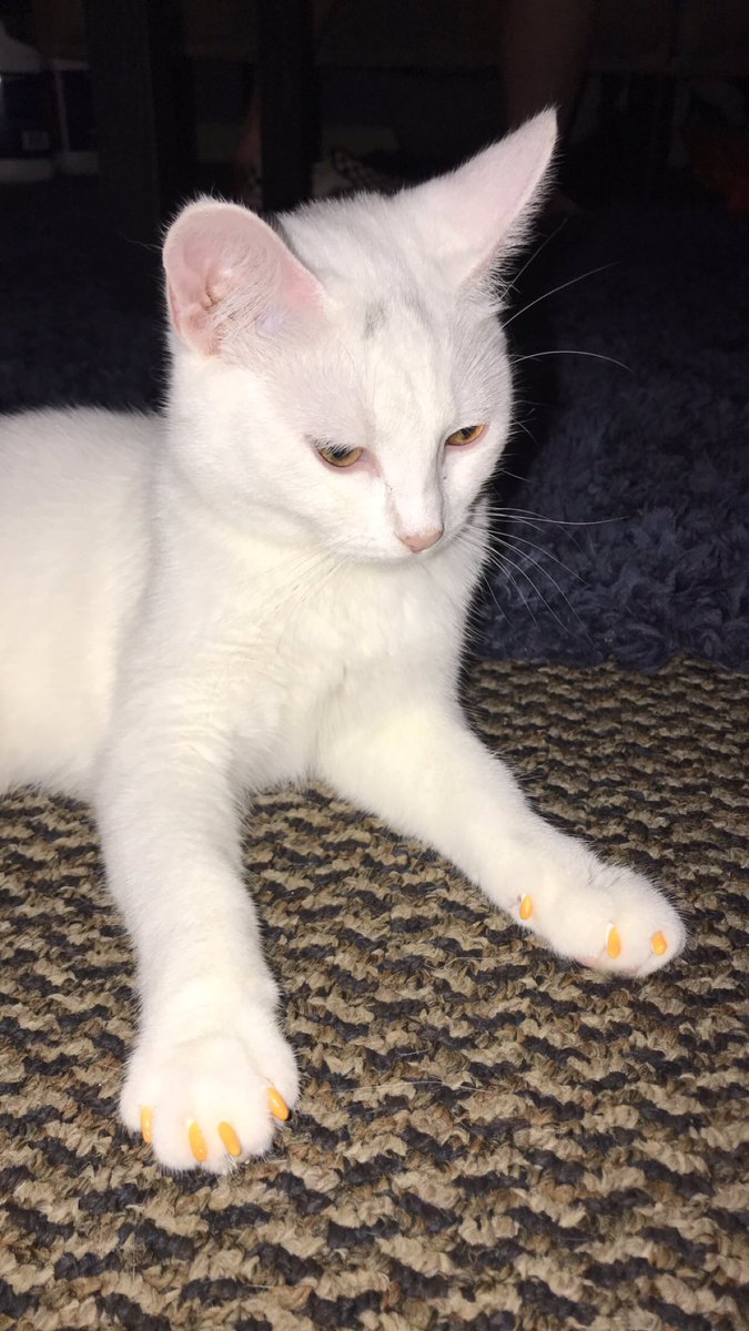 mckenna✨ tweet media