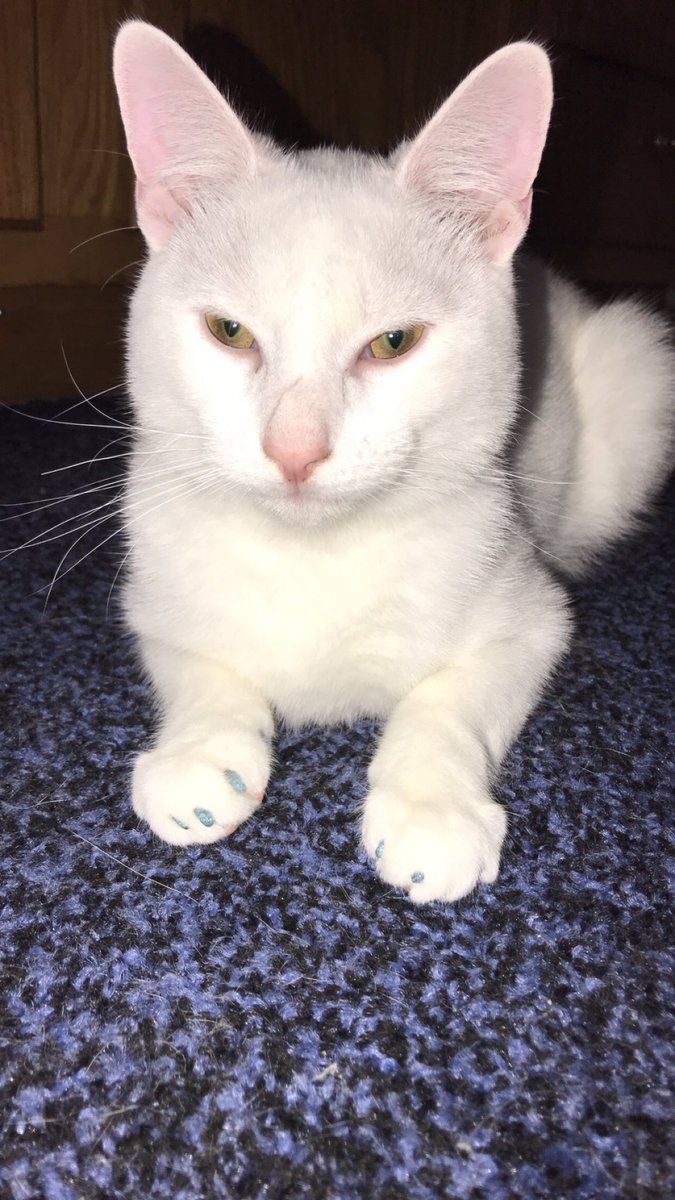 mckenna✨ tweet media