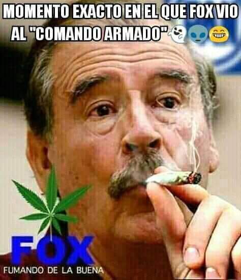 Tenshi 🐦 tweet media